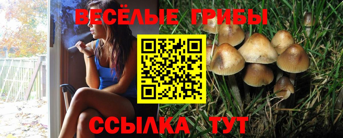 Псилоцибиновые грибы MAGIC MUSHROOMS Кинешма