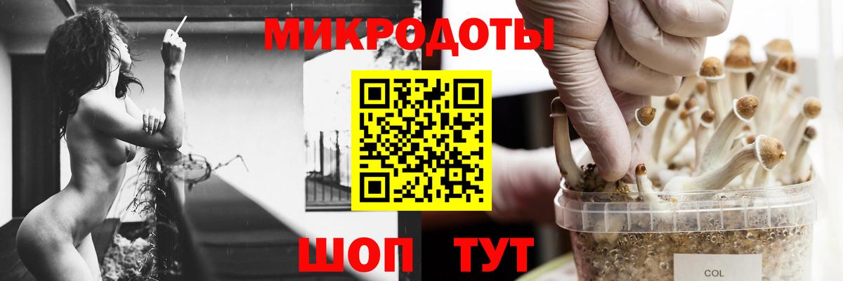 купить наркотики цена  Вход с VPN  Кинешма  Псилоцибиновые грибы Magic Shrooms 